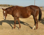 Rimes Annie Oakley